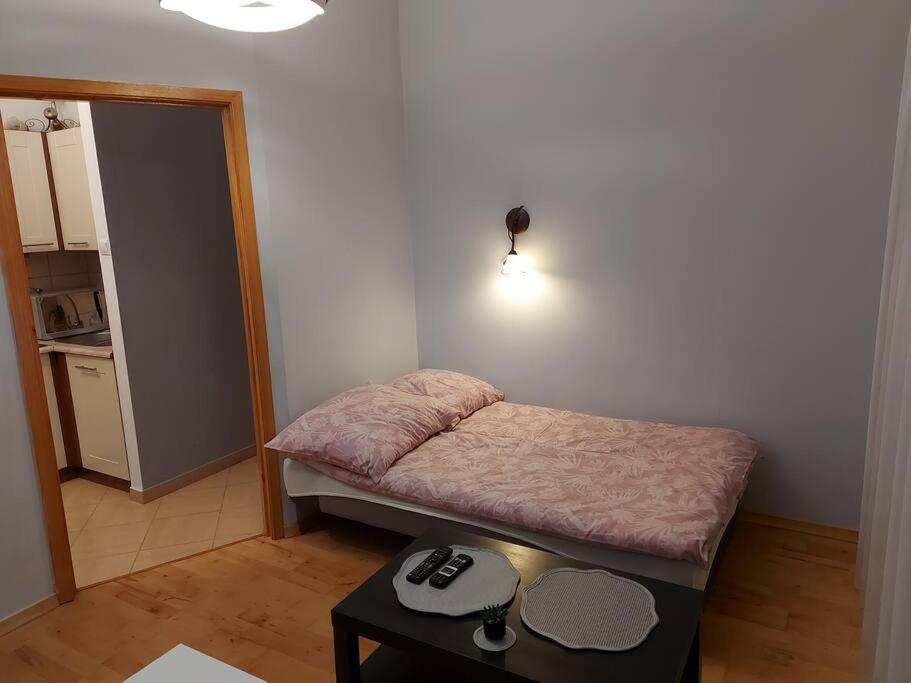 Homelyapartment Krasków Eksteriør bilde