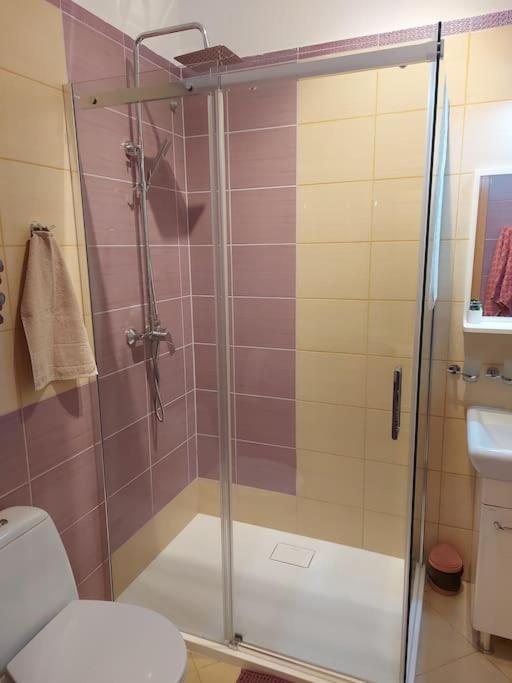 Homelyapartment Krasków Eksteriør bilde