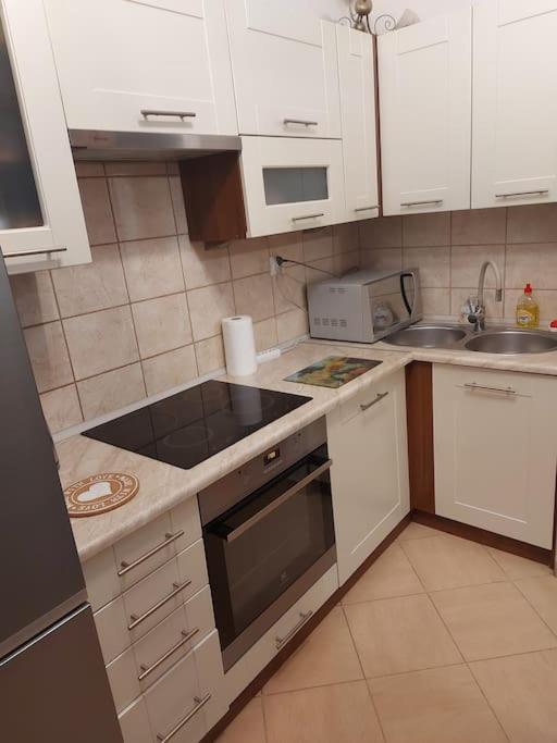 Homelyapartment Krasków Eksteriør bilde